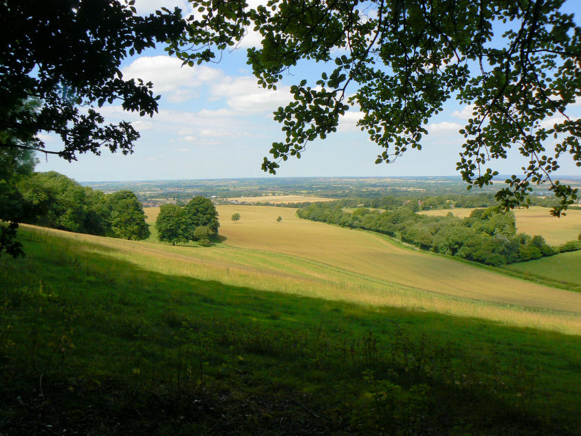 Vale of Aylesbury Vale of Aylesbury